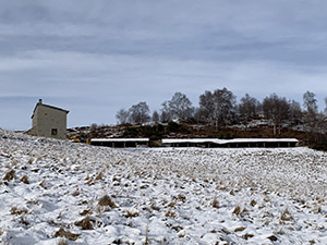 Zoom verso l'Alpe Chiaretto