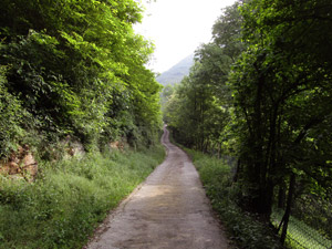 1 itinerario - La stradina in cemento nel bosco