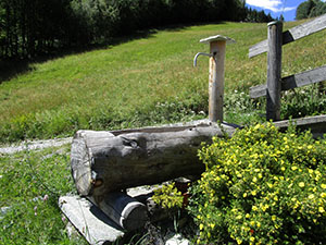 Fontana