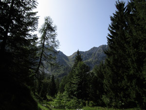 Dal bosco veduta sul Passo di Valzellazzo