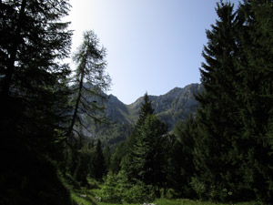 Dal bosco veduta sul Passo di Valzellazzo