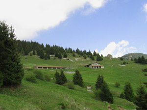 La Malga Corzene