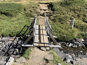 Ponticello di legno