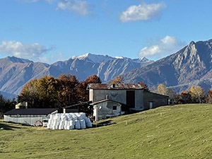 Cascina