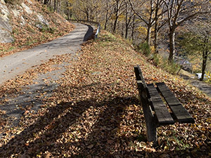 Una panchina a lato della strada