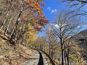 Colori d'autunno