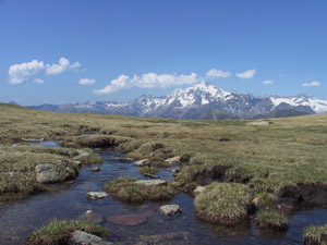 Verso Campagneda