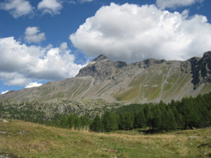 Il Pizzo Scalino da Alpe Largone Superiore