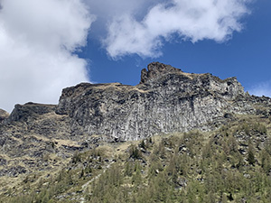 Testa dell'Orso