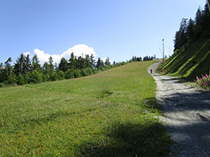 Strada/pista