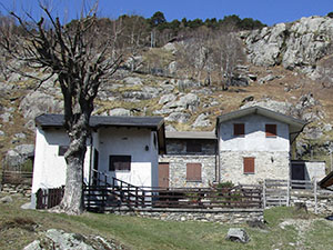 Alcune case di Colorina (m. 1015)