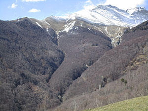 Il vallone con il solco dei due torrenti