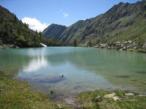 Il Lago Painale