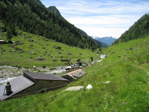 Alpe Rogneda