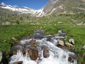 Alpe Painale