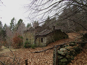 Una casa nel bosco