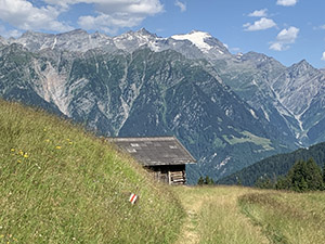 con bella vista sulla catena dell'Adula