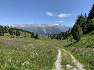 Verso la Croce Portera - uno sguardo indietro