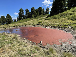 Una pozza di acqua rossa