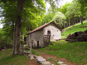 Alpe Fontana