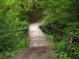 Il Ponte di Ferro