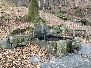 Prosecuzione verso M. Barzaghino e Croce di Pizzallo - Fontana