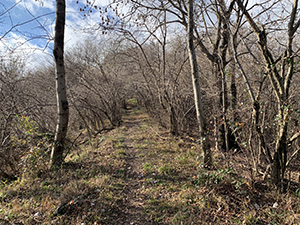 Dopo il Dosso Mattone proseguiamo sul largo crinale