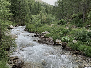 ... sul Torrente Tresenda