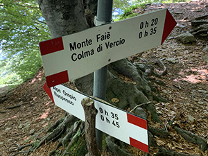 Scendendo dal M. Fai verso la Croce