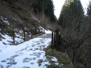 Ponticello nel bosco