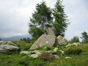 In cima al Dosso Mottone