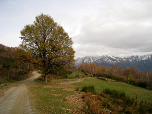 Lungo il primo itinerario