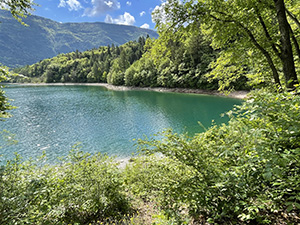 Uno scorcio sul lago