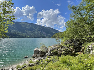 Uno scorcio sul lago