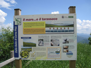 Uno dei cartelloni