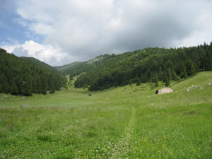 La radura di Piazza Golla