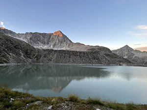 Alba