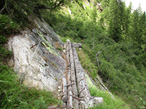 ... e una passerella di tronchi