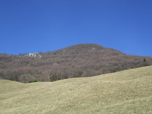 Monte di Grone o Gaiana