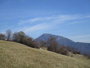 Monte Bronzone
