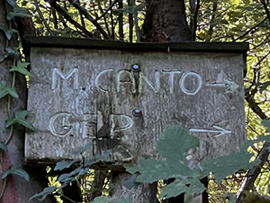 Segnavia nel bosco