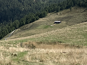 Laghetto recintato, alla sinistra si vede la strada