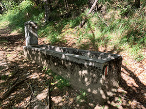 Fontana asciutta nel bosco