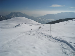 Seguendo le paline tra la neve