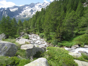 Torrente