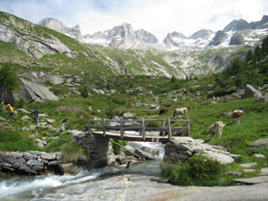 Il ponticello del Pianone
