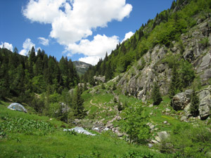 Il sentiero che prosegue oltre il rifugio