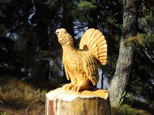 Poco prima di arrivare al rifugio troviamo altre sculture tra le quali un gallo forcello