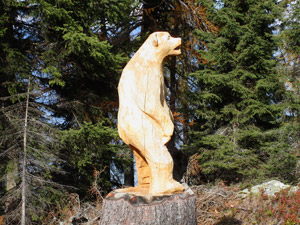 ... e un orso