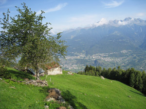 Pigolze